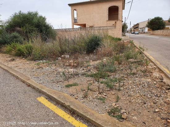 Solar con muchas posibilidades en Ses Salines - BALEARES