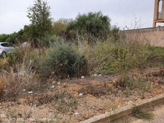 Solar con muchas posibilidades en Ses Salines - BALEARES