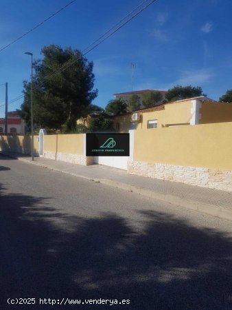  Chalet en alquiler en Algorfa (Alicante) 