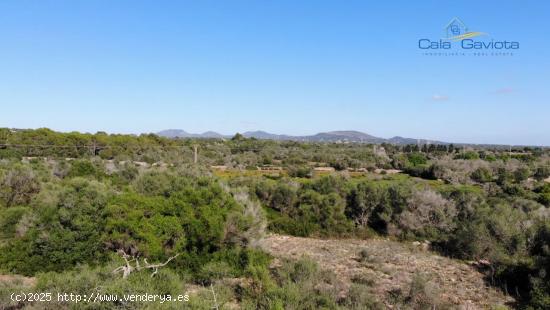  Gran terreno rústico en la zona de Cas Perets - BALEARES 