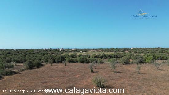 Terreno de 17.000 m2 con bonitas vistas - BALEARES