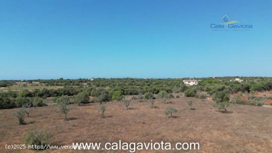 Terreno de 17.000 m2 con bonitas vistas - BALEARES