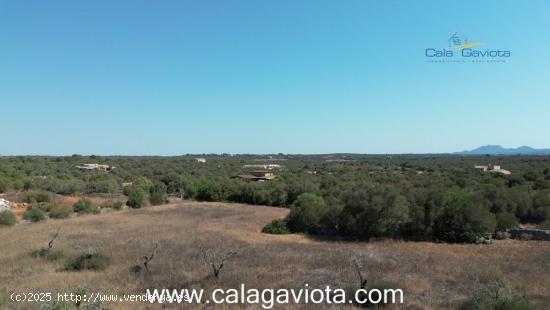 Terreno de 17.000 m2 con bonitas vistas - BALEARES