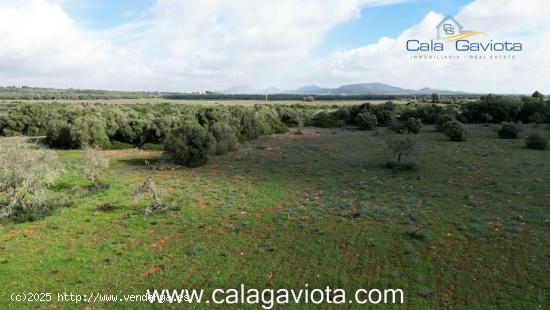  Gran terreno en Cas Perets - BALEARES 