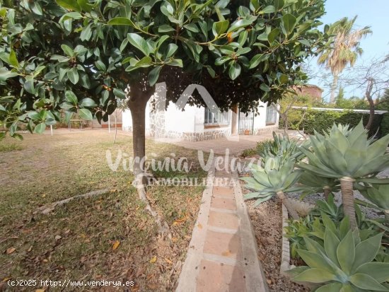 Casa en alquiler en Vélez-Málaga (Málaga)