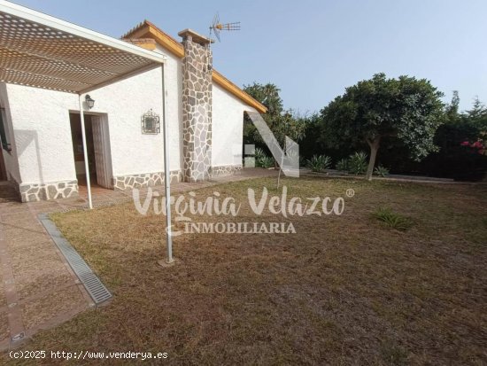 Casa en alquiler en Vélez-Málaga (Málaga)