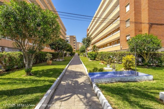 Apartamento en venta en Torrevieja (Alicante)