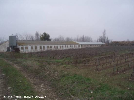 Terreno en venta  - NAVARRA