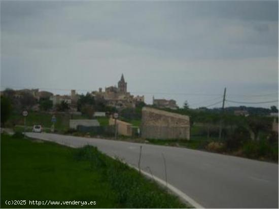 TERRENO RÚSTICO EN VENTA EN SINEU. - BALEARES