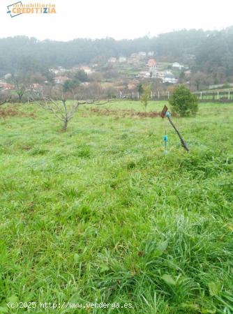 TERRENO RUSTICO EN BEMBRIVE - PONTEVEDRA