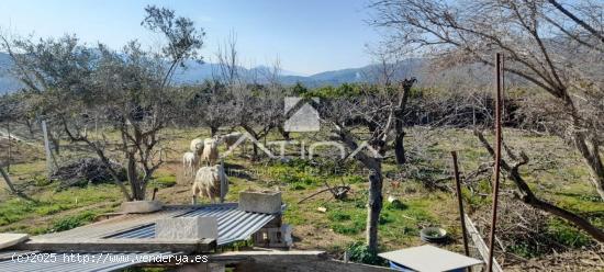 Chalet con 7 anegadas rodeado de naturaliza situado en Gandia zona Marxuquera - VALENCIA