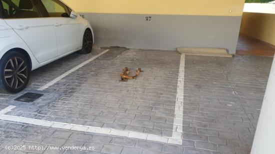 Garajes a la venta en la playa de Guardamar de la Safor en edificio Naranjos II - VALENCIA