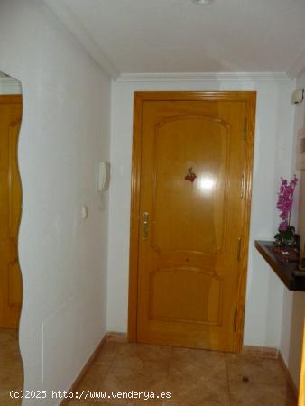 OPORTUNIDAD APARTAMENTO SEMINUEVO Y CENTRICO - MURCIA