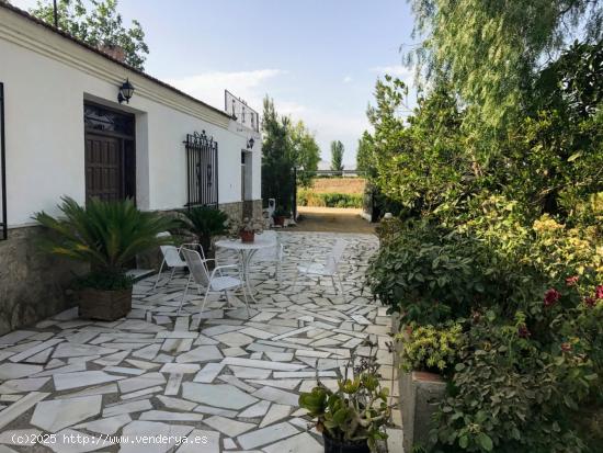 FINCA RÚSTICA EN HUERCAL-OVERA CON CASA     PRECIO ADAPTADO AL COMPRADOR - ALMERIA