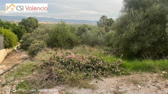 Terreno Urbano, en (Urbanización Monte Jucar) (Alberique) - VALENCIA