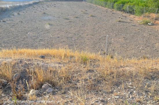 PARCELA RÚSTICA EN LA MATANZA DE SANTOMERA - MURCIA