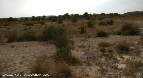 TERRENO EN PEÑA LAS AGUILAS, Elche - ALICANTE