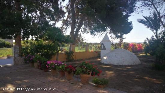 CASA DE CAMPO EN LAS LOMAS DE EL ALBUJÓN.(MURCIA) - MURCIA