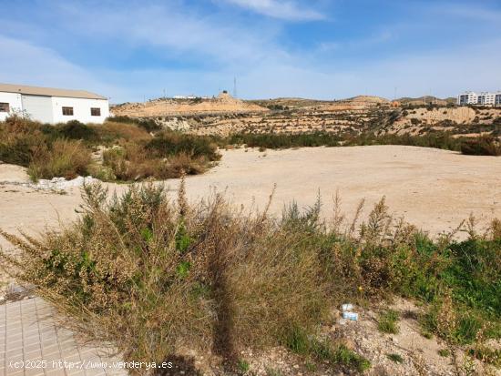 VENTA DE PARCELA EN POLIGONO LA CERAMICA - ALICANTE