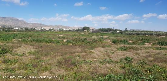 Terreno 13.000 m2 Partida Deula. 82.000 Euros - ALICANTE