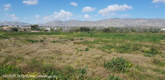 Terreno 13.000 m2 Partida Deula. 82.000 Euros - ALICANTE