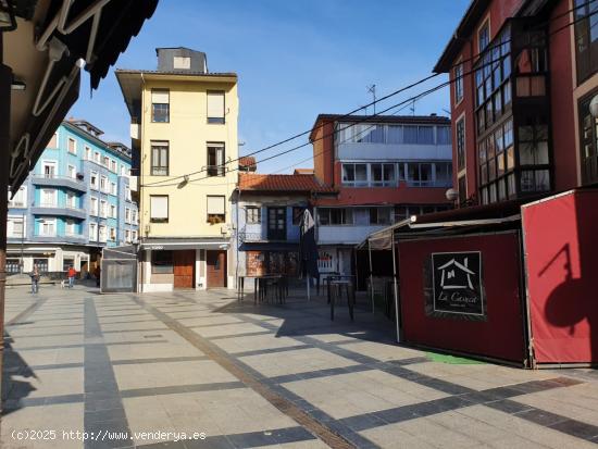 En zona Peatonal de Torrelavega - CANTABRIA