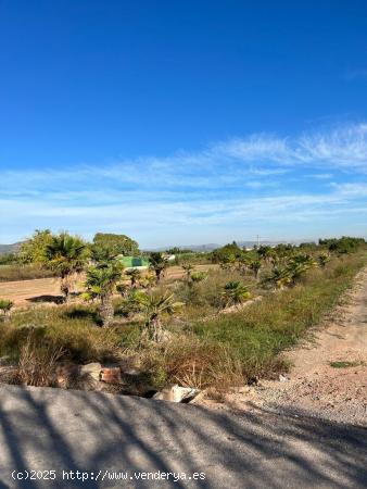 TERRENO RUSTICO CERCA DE LA PLAYA Y DEL PUEBLO - VALENCIA