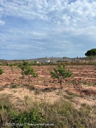 TERRENO RUSTICO CERCA DEL PUBLO Y DE LA PLAYA DE PUZOL - VALENCIA