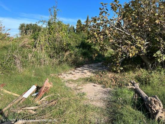 TERRENO RUSTICO CERCA DE LA PLAYA Y DEL PUEBLO, EN PUZOL - VALENCIA