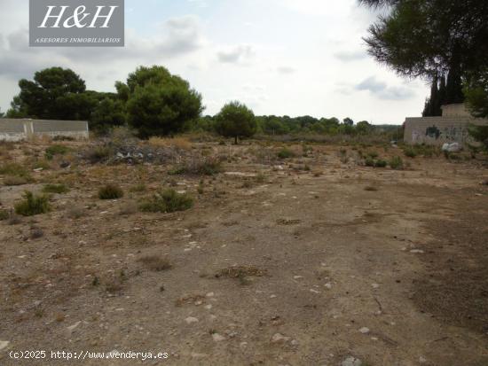 Se vende terreno urbano de 2000 m2 en Betera. / H H Asesores, Inmobiliaria en Burjassot/ - VALENCIA