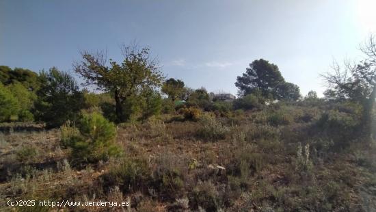 Se vende terreno de secano en Llíria. / HH Asesores, Inmobiliaria en Burjassot/ - VALENCIA