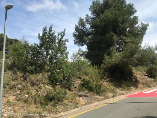 Terreno edificable en Av. Generalitat, Vespellà de Gaià: ¡Dale vida a tus proyectos! - TARRAGONA