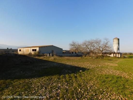 FINCA CON GRANJAS PORCINAS EN TERMINO DE GODALL - TARRAGONA