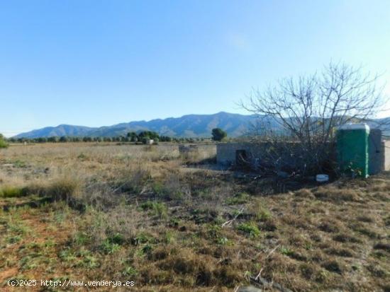 FINCA RUSTICA EN ULLDECONA - TARRAGONA