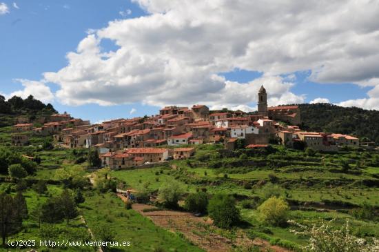 ESPECTACULAR CASA RURAL EN LA POBLA DE BENIFASSA - CASTELLON