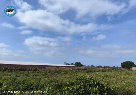 TERRENO RURAL POR LA CARRETERA DE CHIPIONA - CADIZ