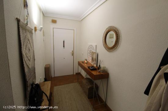 APARTAMENTO DE 3 DORMITORIOS JUNTO A LA PLAZA DEL AYUNTAMIENTO - ZONA TORREVIEJA - - ALICANTE