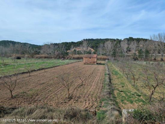 Se Vende en Mazaleon - TERUEL