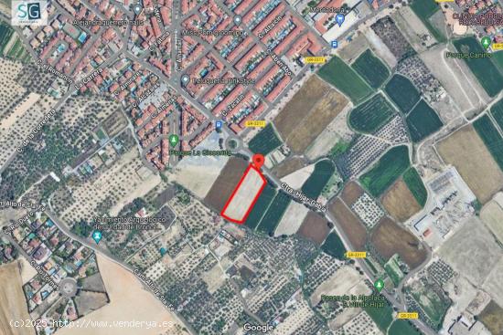  Parcela de 5000 metros junto al mercadona de Hijar - GRANADA 