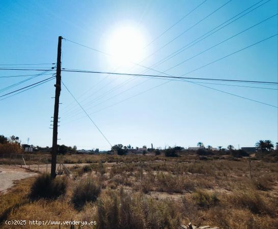 Parcela de terreno urbanizable en La Marina, Alicante, Costa Blanca - ALICANTE