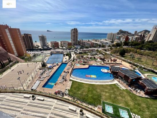 SE ALQUILA APARTAMENTO EN SUNSET DRIVE EN PONIENTE, BENIDORM - ALICANTE