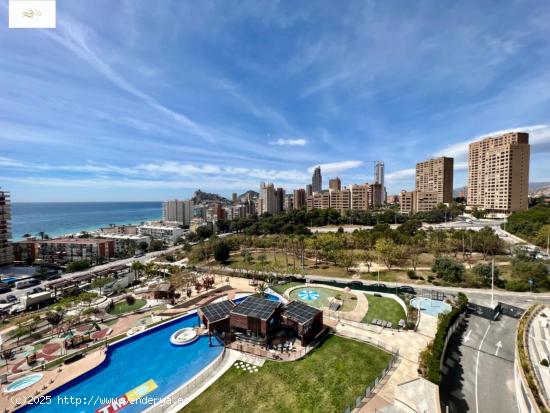 SE ALQUILA APARTAMENTO EN SUNSET DRIVE EN PONIENTE, BENIDORM - ALICANTE