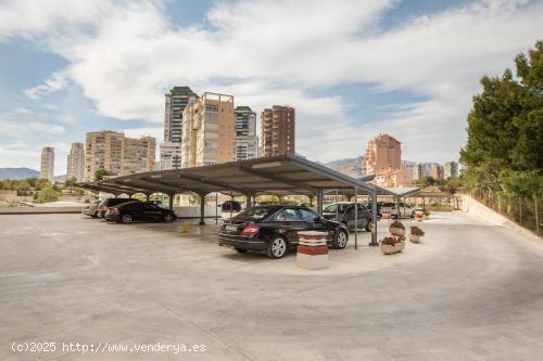 SE ALQUILA UN PISO EN LA PRIMERA LÍNEA DE PONIENTE, BENIDORM - ALICANTE