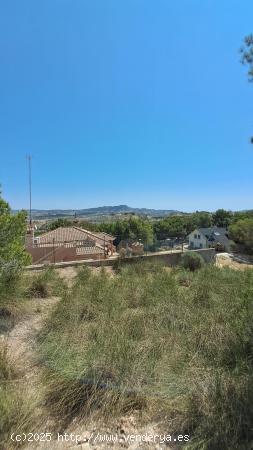  PARCELA RODEADA DE PINOS - MURCIA 