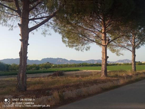 Parcela urbanizable en la huerta de Zeneta - MURCIA