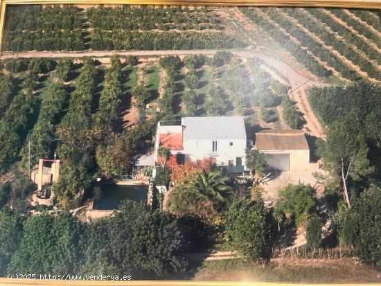  FINCA RUSTICA BITEM(TORTOSA) - TARRAGONA 