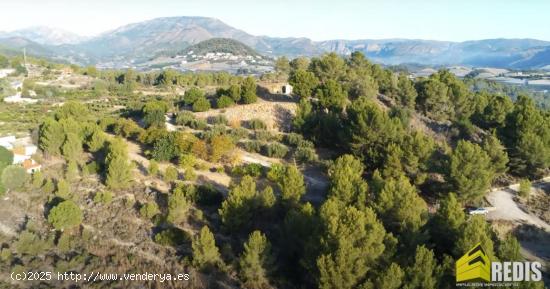 Terreno de 11.000m² en La Nucía - ALICANTE