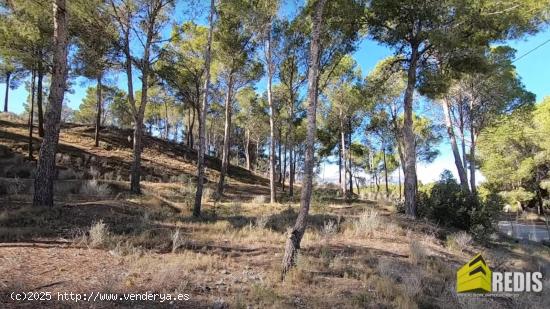 Terreno de 11.000m² en La Nucía - ALICANTE