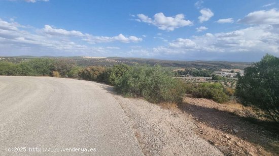 SE VENDE TERRENO RUSTICO CON VISTAS AL VALLE - Guarromán