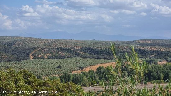 SE VENDE TERRENO RUSTICO CON VISTAS AL VALLE - Guarromán